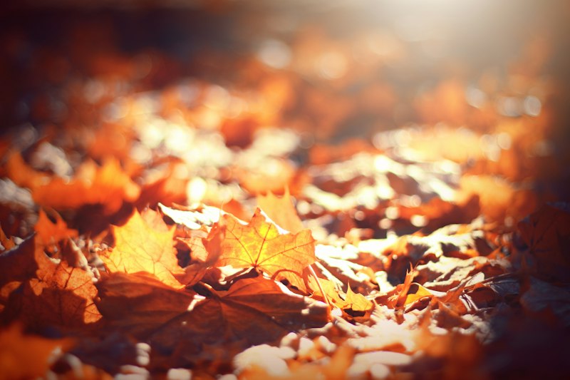 September Autumn