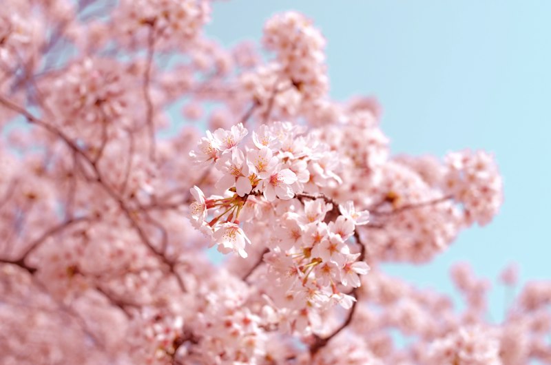 March Spring